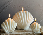 Conch Candle