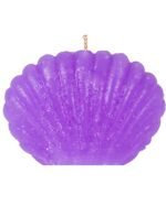 Conch Candle