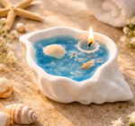 Shell Candle